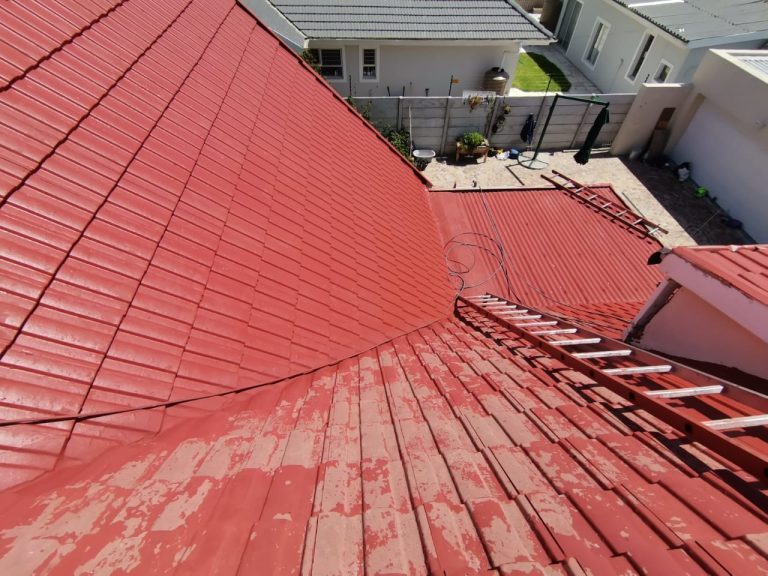 Roof Painting