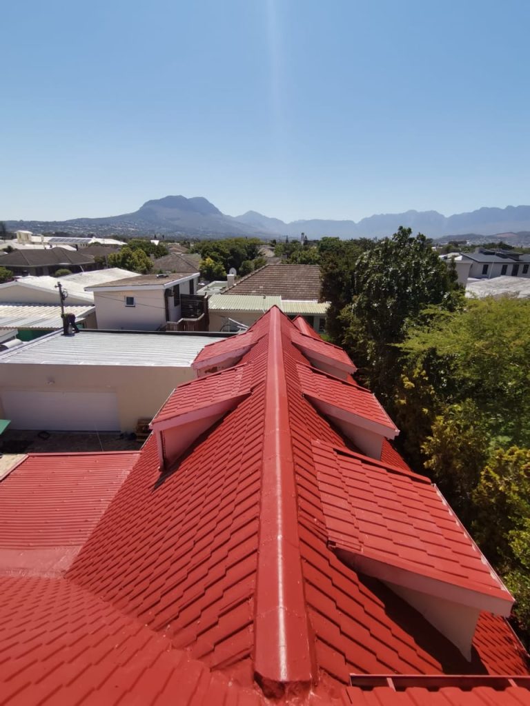 Roof Painting