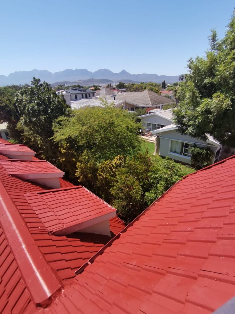 Roof Painting