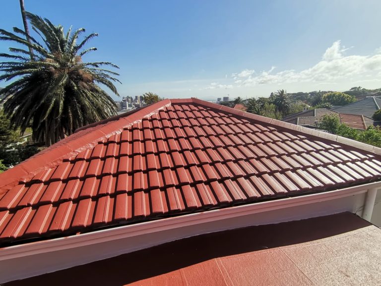 Roof Painting