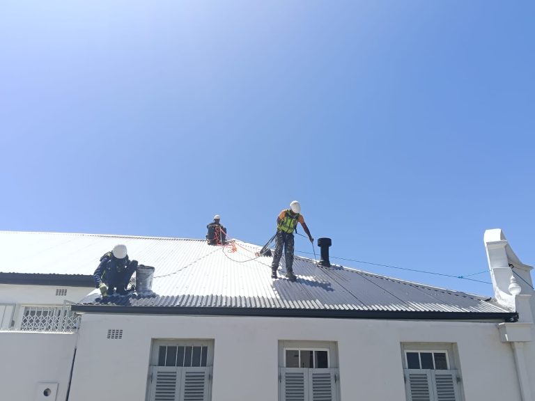 Roof Painting