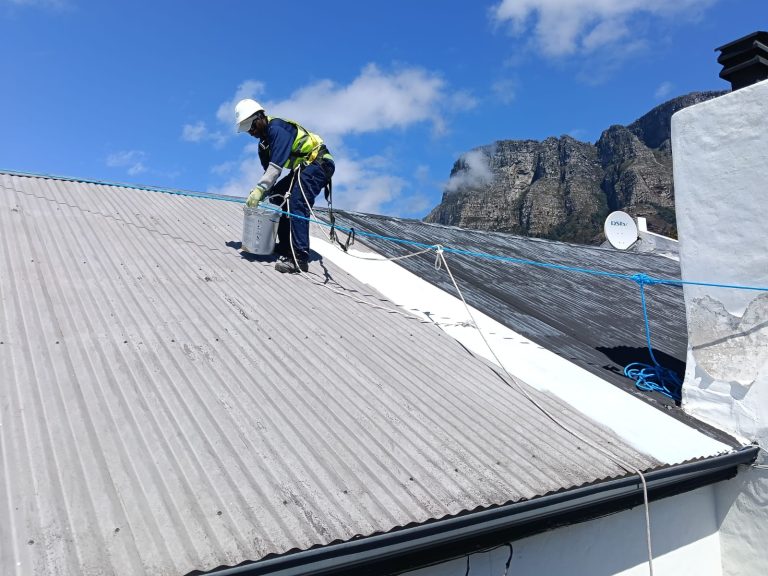 Roof Painting